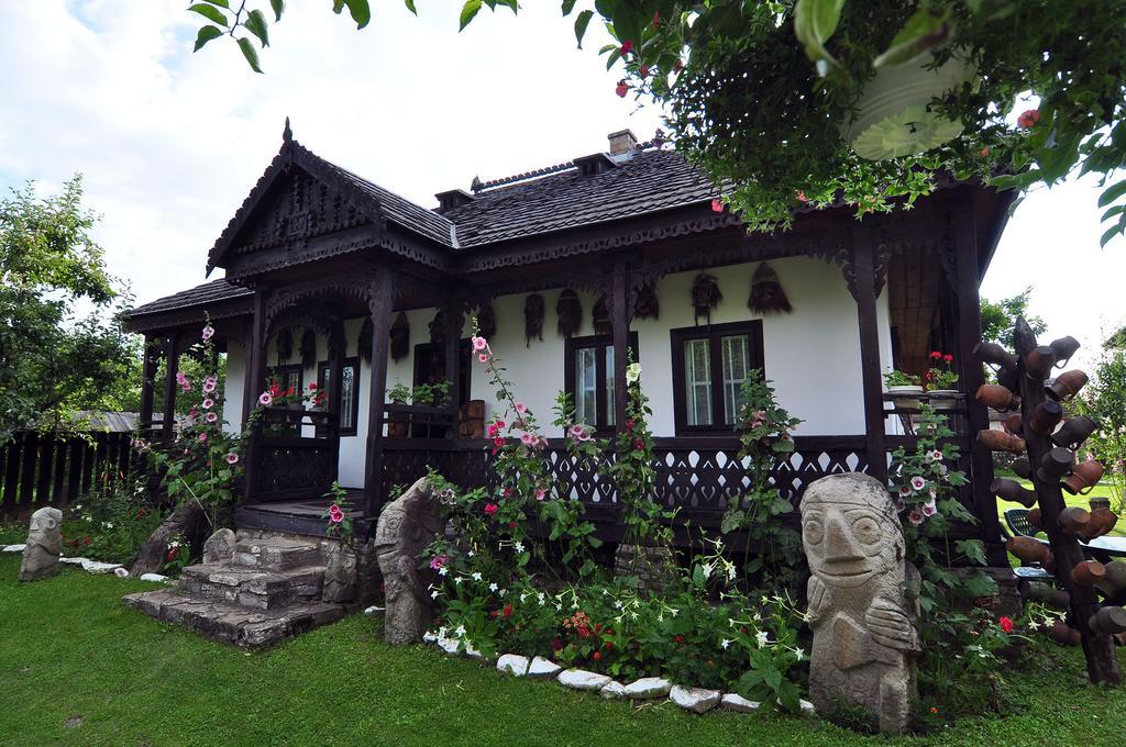 Bed & Breakfast Popamuseum Tarpesti Strada Muzeului Nr 28 Tirpesti Exterior photo